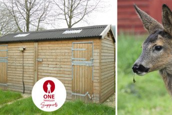 RSPCA unveils new injured animal shelter paid for by One Traveller donations