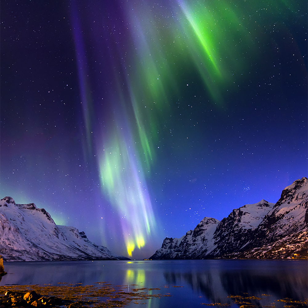 Northern Lights Over a Lake Northern Lights Over a Lake