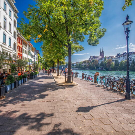 Street next to the river Rhine